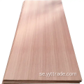 Sapeli plywood